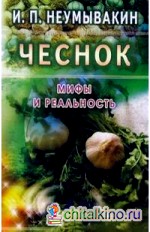 Чеснок: Мифы и реальность