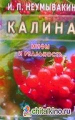 Калина: Мифы и реальность