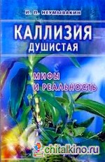 Каллизия душистая: мифы и реальность