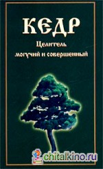 Кедр: Целитель могучий и совершенный