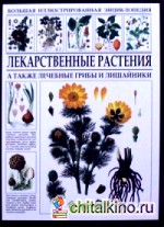 Лекарственные растения: Большая иллюстрированная энциклопедия