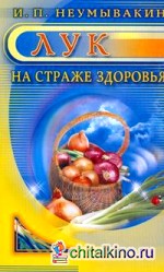 Лук: на страже здоровья