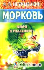 Морковь: Мифы и реальность