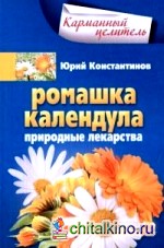 Ромашка, календула: Природные лекарства