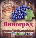 Секреты богатого урожая: Виноград. Выращивание, хранение и заготовка, целебные свойства
