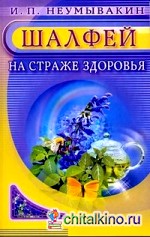 Шалфей: На страже здоровья