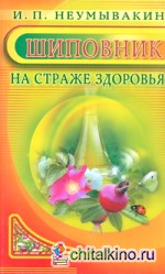 Шиповник: на страже здоровья