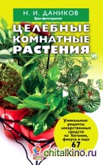 Целебные комнатные растения