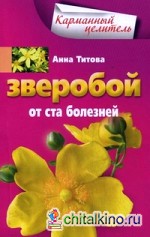 Зверобой от ста болезней