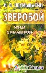 Зверобой: мифы и реальность