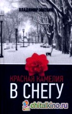 Красная камелия в снегу
