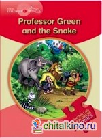 Professor Green