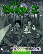 Big Bugs: Level 2. Activity Book