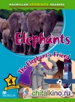 Elephants