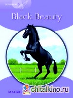 Explorers 5: Black Beauty