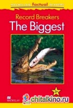 Record Breakers: The Biggest