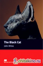 The Black Cat Reader