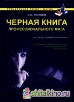 Черная книга профессионального мага