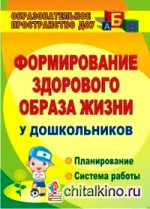 Формирование здорового образа жизни у дошкольников: Планирование, система работы