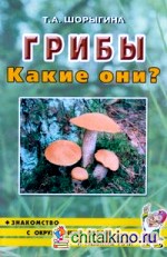 Грибы: Какие они? Знакомство с окружающим миром, развитие речи. Книга для воспитателей, гувернеров и родителей