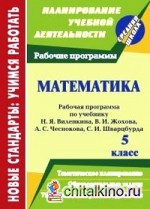 Математика: 5 класс. Рабочая программа по учебнику Н. Я. Виленкина, В. И. Жохова, А. С. Чеснокова, С. И. Шварцбурда
