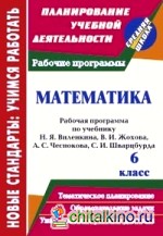 Математика: 6 класс. Рабочая программа по учебнику Н. Я. Виленкина, В. И. Жохова, А. С. Чеснокова, С. И. Шварцбурда