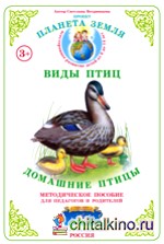 Методическое пособие с дидактическим материалом: Тема «Виды птиц». Домашние птицы