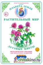 Методическое пособие с дидактическим материалом: Окружающий мир. Растительный мир. Луговые цветы