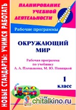 Окружающий мир: 1 класс. Рабочая программа по учебнику А. А. Плешакова, М. Ю. Новицкой. УМК «Перспектива»