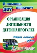 Организация деятельности детей на прогулке: вторая младшая группа