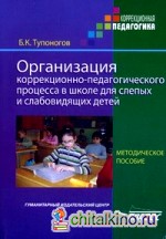 Организация коррекционно-педагогического процесса в школе для слепых и слабовидящих детей: Методическое пособие для педагогов и руководителей специальных (коррекционных) образовательных учреждений