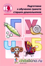 Подготовка к обучению грамоте старших дошкольников