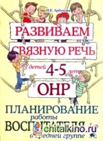 Развиваем связную речь у детей 4-5 лет с ОНР: Планирование работы воспитателя в средней группе