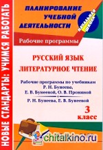 Русский язык: Литературное чтение. 3 класс. Рабочие программы по системе учебников «Школа 2100»