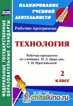 Технология: 2 класс. Рабочая программа по учебнику Н. А. Цирулик, Т. Н. Просняковой по системе Л. В. Занкова. ФГОС
