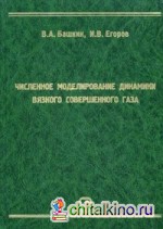 Численное моделирование динамики вязкого совершенного газа