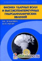 Физика ударных волн и высокотемпературных гидродинамических явлений