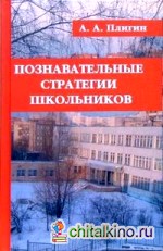Познавательные стратегии школьников