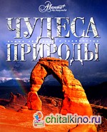 Чудеса природы