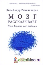 Мозг рассказывает: Что делает нас людьми