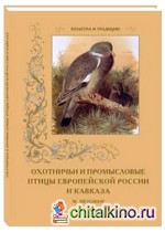 Охотничьи и промысловые птицы Европейской России и Кавказа: М. Мензбир