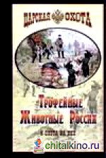 Трофейные животные России и охота на них