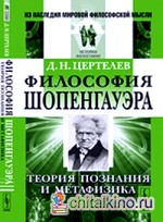 Философия Шопенгауэра: теория познания и метафизика