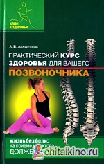 Практический курс здоровья для вашего позвоночника