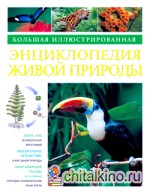 Большая иллюстрированная энциклопедия природы