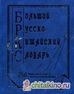 Большой русско-китайский словарь: 250000 слов, словосочетаний и значений