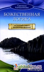 Божественная Логика: Истинный смысл жизненных явлений