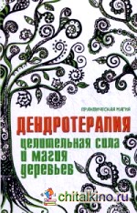 Дендротерапия: Целительная сила и магия деревьев