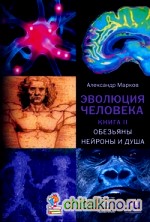 Эволюция человека: В 2 книгах. Книга 2. Обезьяны, нейроны и душа