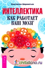 Интеллектика: Как работает ваш мозг